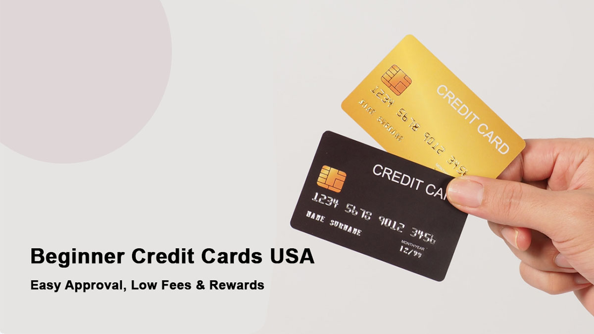 Beginner Credit Cards USA 2025 | Easy Approval, Low Fees & Rewards