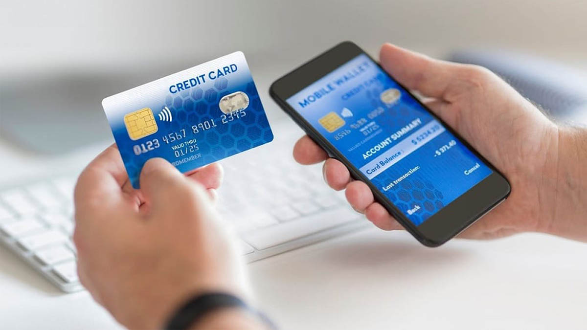 Top Cash Back Credit Cards in US 2025 | Best Rewards, 0% APR & Beginner Options